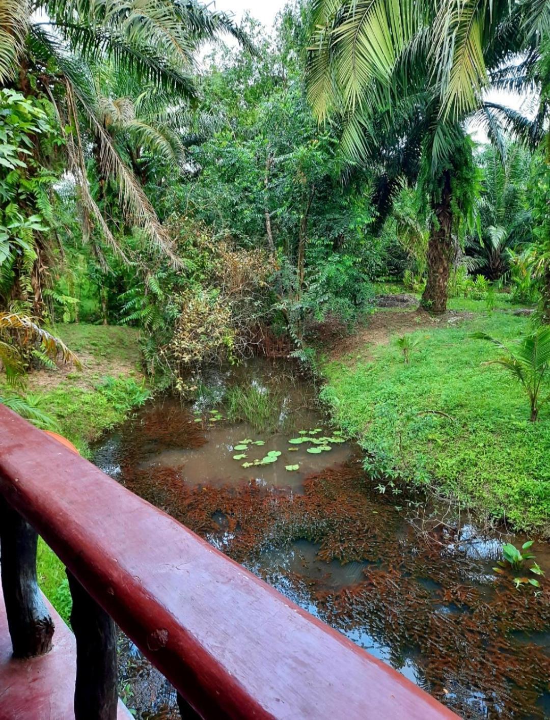 Tuaprodhome Khao Lak Rum bild