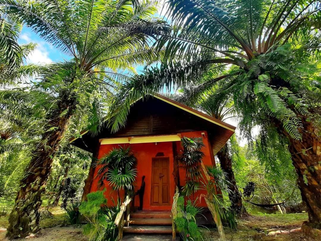 Tuaprodhome Khao Lak Rum bild