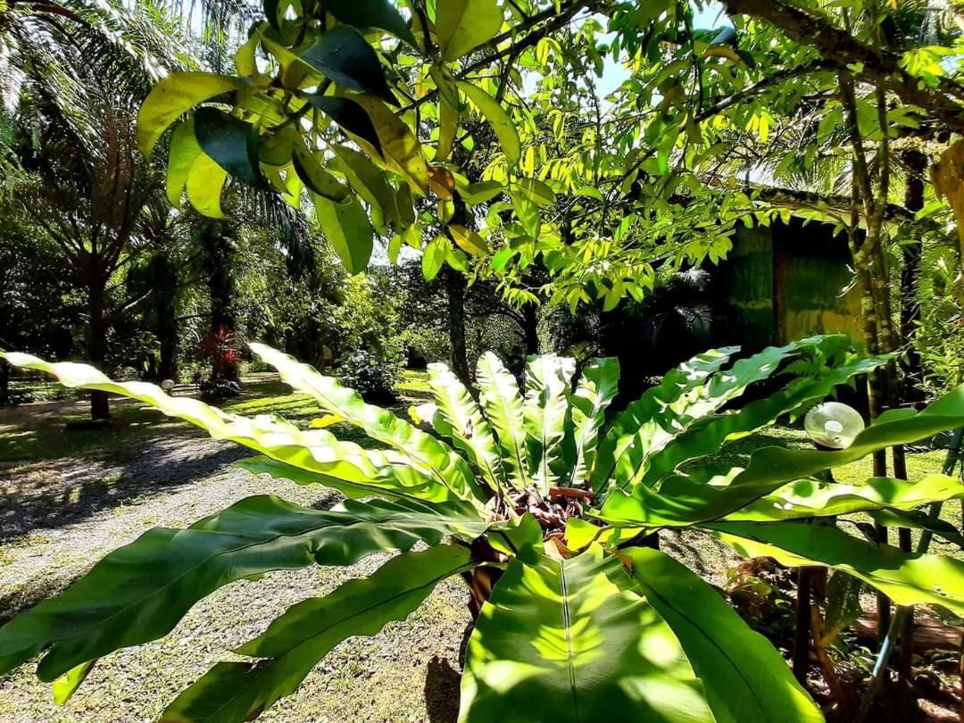 Tuaprodhome Khao Lak Rum bild