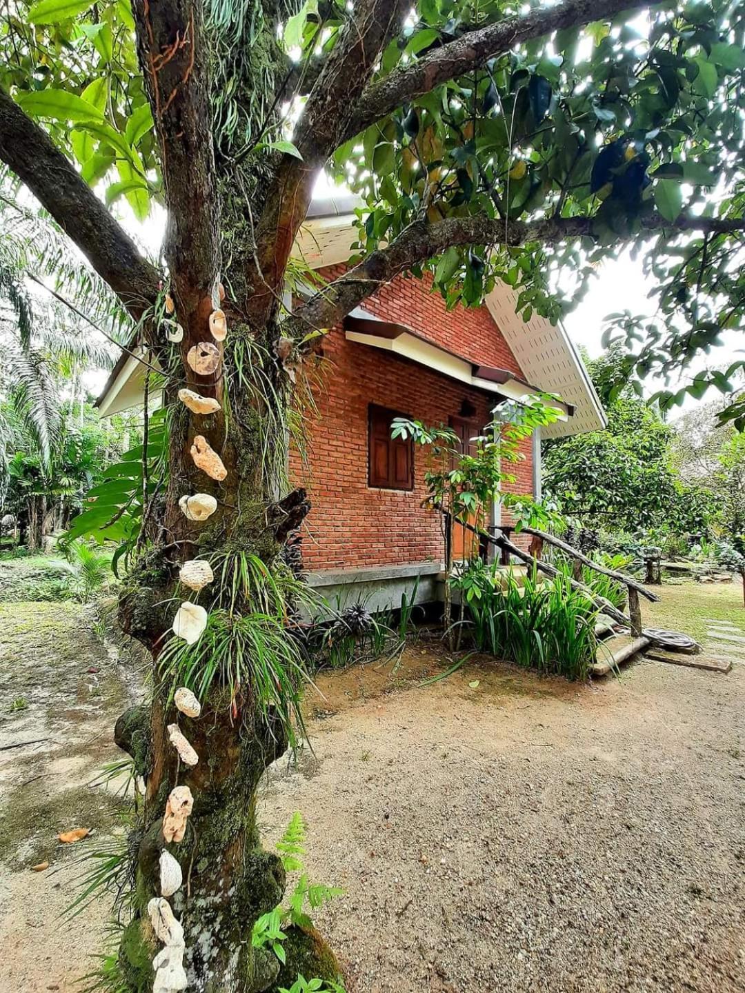 Tuaprodhome Khao Lak Rum bild