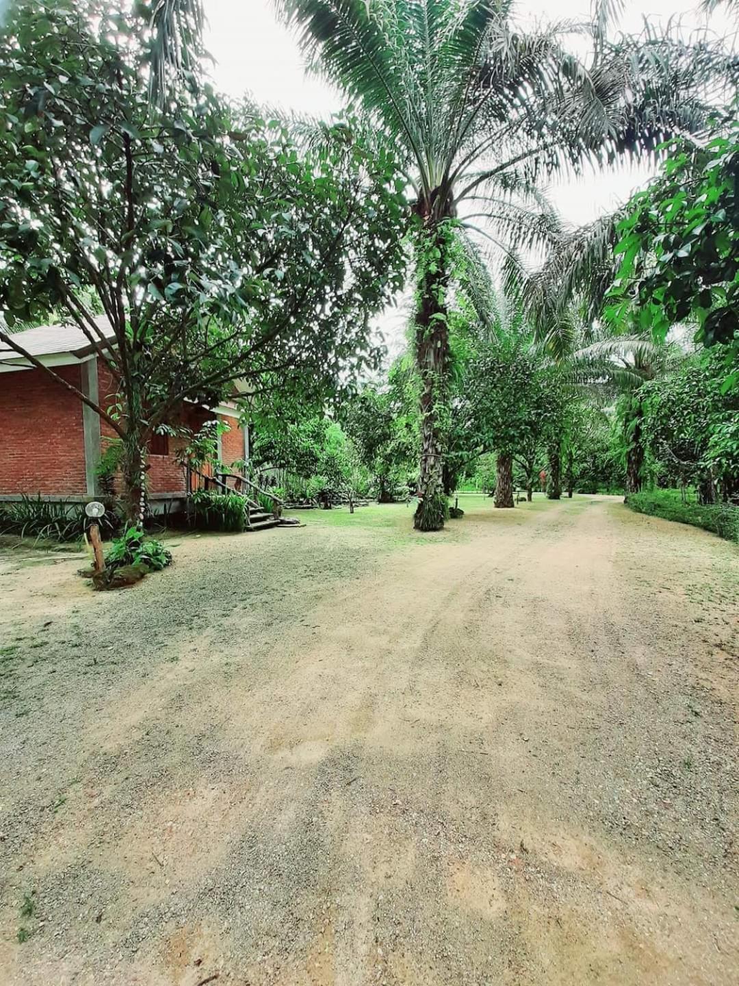 Tuaprodhome Khao Lak Rum bild